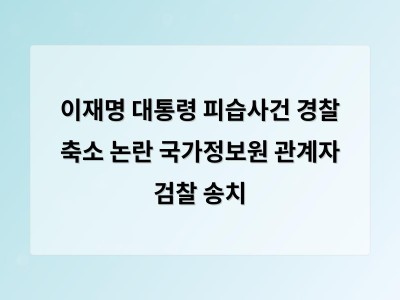 이재명 대통령 피습사건 국정원 조사 결과 경찰이 검찰에 넘겨 정치 논란 확산